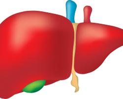 Wirus HCV – mniej zakażeń niż sądzono