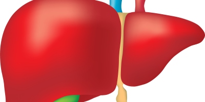 Wirus HCV – mniej zakażeń niż sądzono