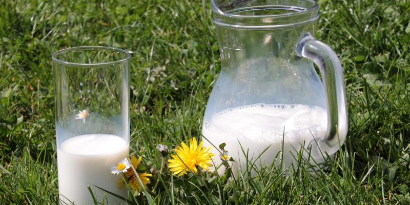 Nietolerancja laktozy - nie zawsze wymaga wykluczenia produktów mlecznych