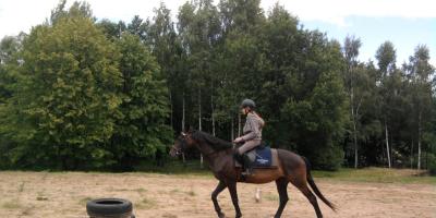 Zwierzak to świetny terapeuta