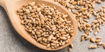 Gluten – nie unikaj go, jeśli nie cierpisz na celiakię