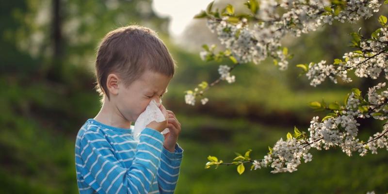 Skąd się bierze alergia?