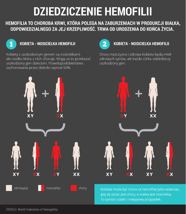 infografika - dziedziczenie hemofilii