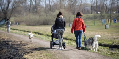 Co pomaga przetrwać stres związany z pandemią