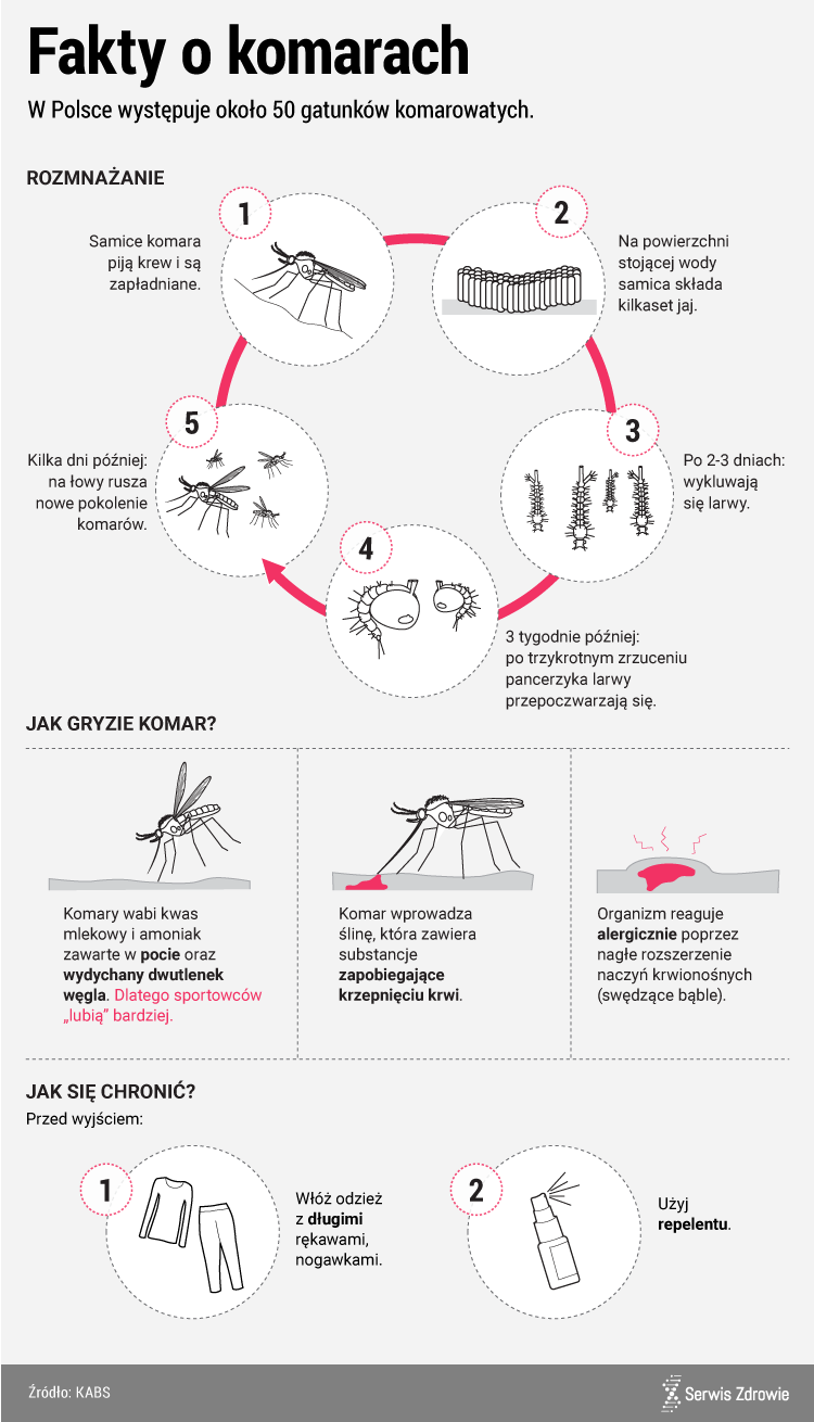 infografika -komary