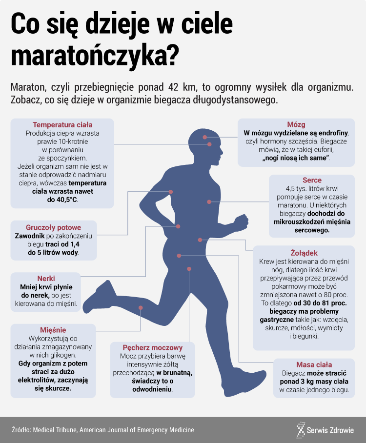 "infografika - co dzieje się w ciele maratończyka"