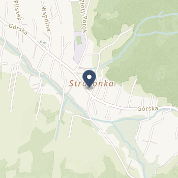 Zbigniew Skarbek na mapie