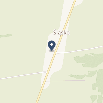 M. Kowalski, W. Szwaja Reg- Med Opieka Domowa na mapie
