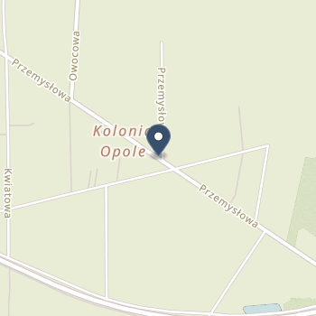 SPZOZ w Opolu Lubelskim na mapie