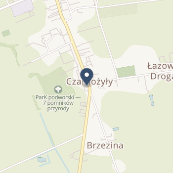 SPZOZ w Czarnożyłach na mapie