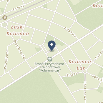 Gminny Publiczny Zespół Opieki Zdrowotnej w Łasku na mapie