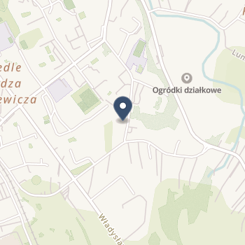 Reha-Wit Gabinet Fizjoterapii Witold Dębiec na mapie