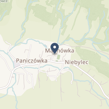 Praktyka Lekarska Dentystyczna Anna Szmidt-Wojtowicz na mapie