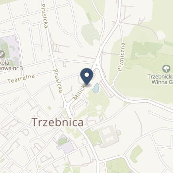 Trzebnickie Centrum Medyczne "Zdrój" na mapie