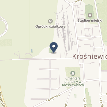 NZOZ "Zdrowie" w Krośniewicach na mapie