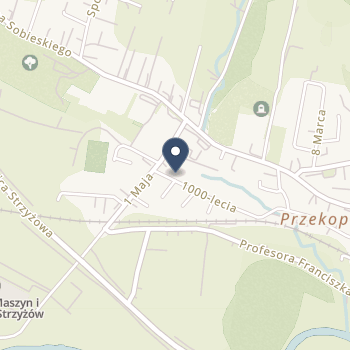 Zespół Opieki Zdrowotnej w Strzyżowie na mapie