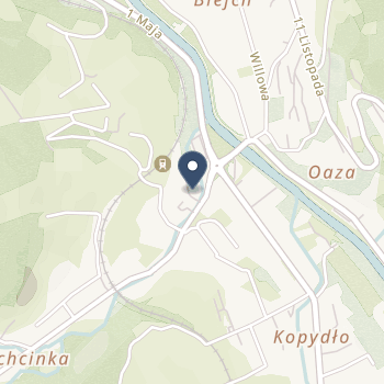 NZOZ "Dziechcinka" na mapie