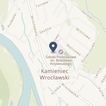 NZOZ Kamieniec Wrocławski na mapie