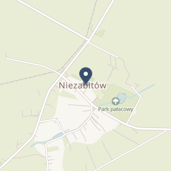 NZOZ "Vesalius" na mapie