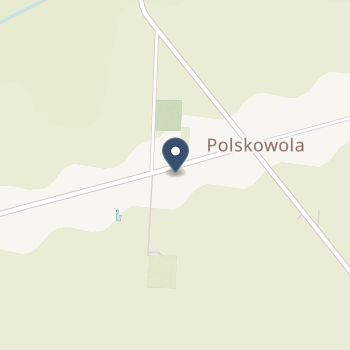 NZOZ Ośrodek Zdrowia w Polskowoli Ryszarda Oraczewska na mapie