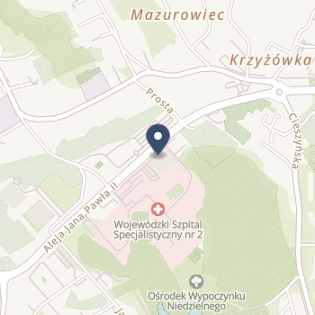 Wojewódzki Szpital Specjalistyczny Nr 2 w Jastrzębiu Zdroju na mapie