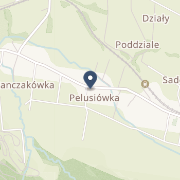 NZOZ "Ośrodek Zdrowia" w Ptaszkowej na mapie