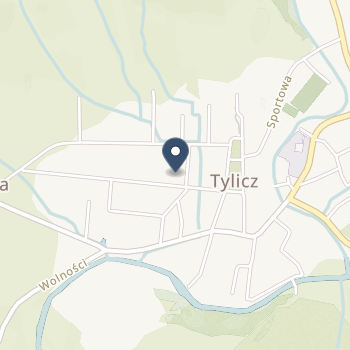 NZOZ w Tyliczu na mapie