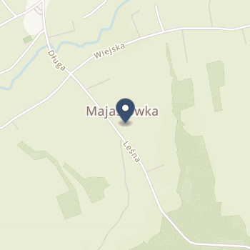 Panaceum M. Rachoń, B. Wielgosz-Kornak, Ewa Mroczek-Mazur, W. Ziemiński na mapie