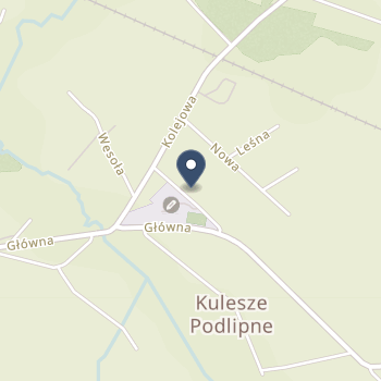 "Puls" Topolscy na mapie