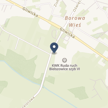 Akademickie Centrum Zdrowia w Mikołowie na mapie