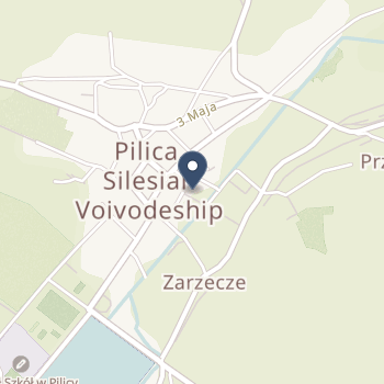 Pilmed na mapie