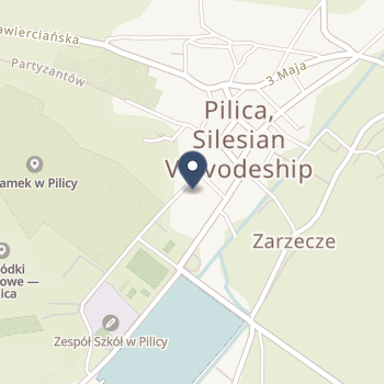 Pilmed na mapie