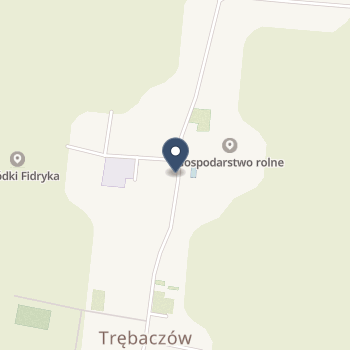 NZOZ Praktyka Lekarza Rodzinnego w Perzowie na mapie