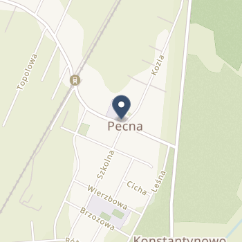 NZOZ Przychodnia Lekarza Rodzinnego Pecmed na mapie