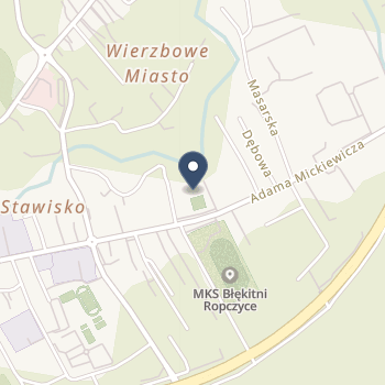 NZOZ Centrum Pielęgniarstwa Środowiskowo-Rodzinnego na mapie