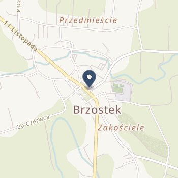 Fhu Skibamed Mgr Arkadiusz Skiba na mapie