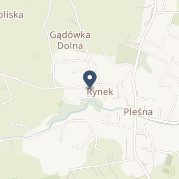 Spgzoz w Pleśnej na mapie