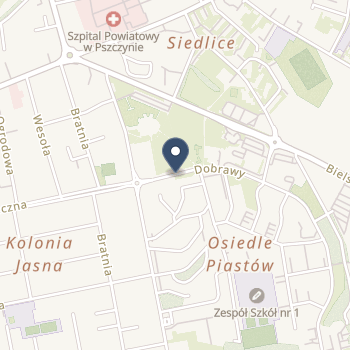 NZOZ Poradnia Leczenia Bólu na mapie