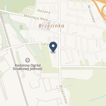 Publiczny ZOZ Ośrodek Rehabilitacyjno-Opiekuńczy na mapie