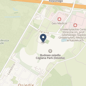 Amed Górnośląskie Centrum Medycyny i Rehabilitacji na mapie