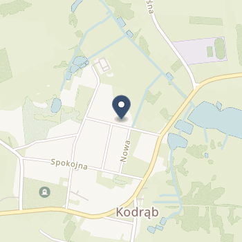 SPZOZ w Kodrębie na mapie