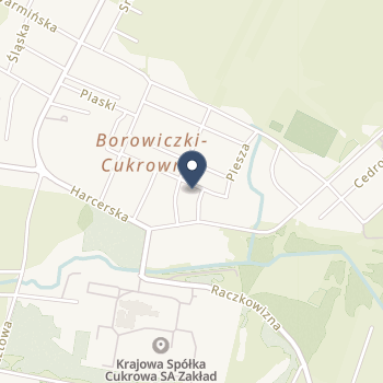 Centrum Medyczne Borowiczki na mapie