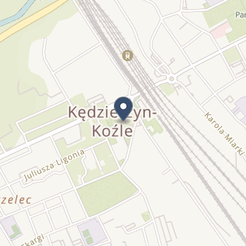 Wojewódzki Ośrodek Medycyny Pracy w Opolu Z/s w Kędzierzynie-Koźlu na mapie