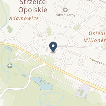 Gabinet Rehabilitacji i Masażu na mapie