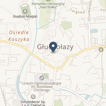 SPZOZ Zespół Opieki Zdrowotnej w Głuchołazach na mapie