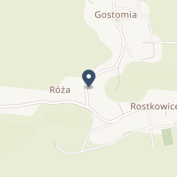 Prywatny Gabinet Stomatologiczny Aniela Remisz 48-217 Gostomia 107 na mapie