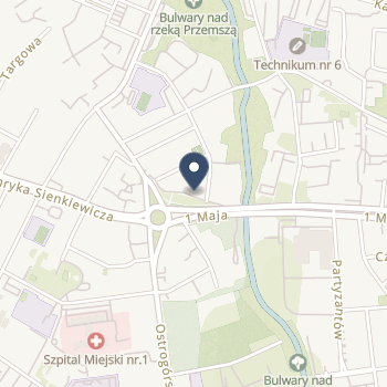 IPS Anna Cupiał na mapie