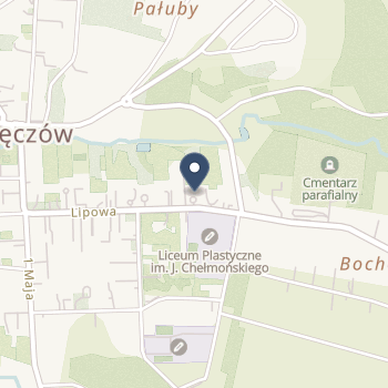 Samodzielny Publiczny Psychiatryczny Zakład Opiekuńczo-Leczniczy w Celejowie na mapie