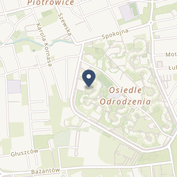 Ośrodek Rehabilitacyjno - Oświatowy Dziennego Pobytu dla dzieci Niepełnosprawnych na mapie