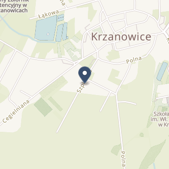 Zakład Pielegnacyjno-Opiekuńczy w Krzanowicach na mapie